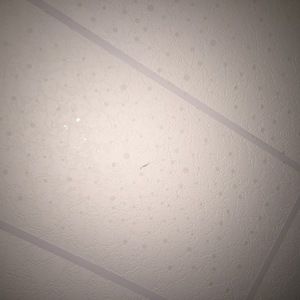 Meet your Posher, Luis